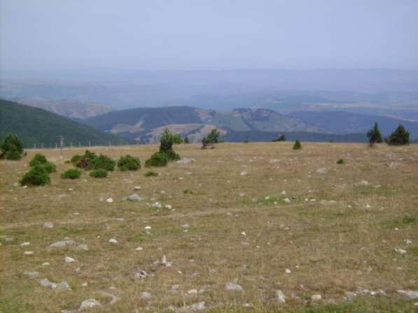 Blick vom Mont Aigual